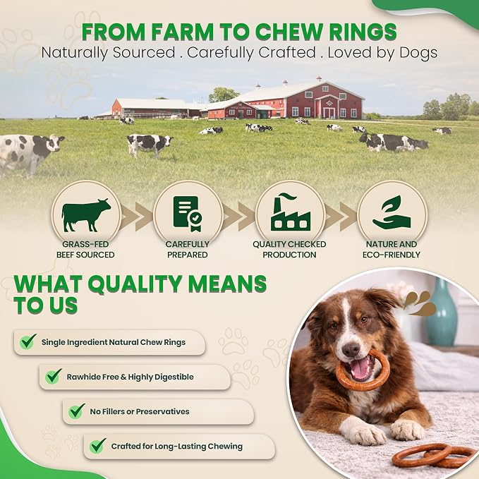 Odor Free 4” Bully Stick Rings for Dogs - 3 Count - 100% Natural Grass-Fed Beef Pizzle Rings, High Protein, Fully Digestible Rawhide-Free Thick Chews, Long Lasting Bully Rings