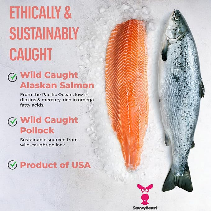 SavvyBeast Pollock & Salmon Oil for Dogs & Cats - Omega 3 Fish Oil Supplement with EPA & DHA - All-Natural Wild Caught Oil Supports Skin & Coat, Joint, Heart & Immune Health - Made in USA - 32 oz