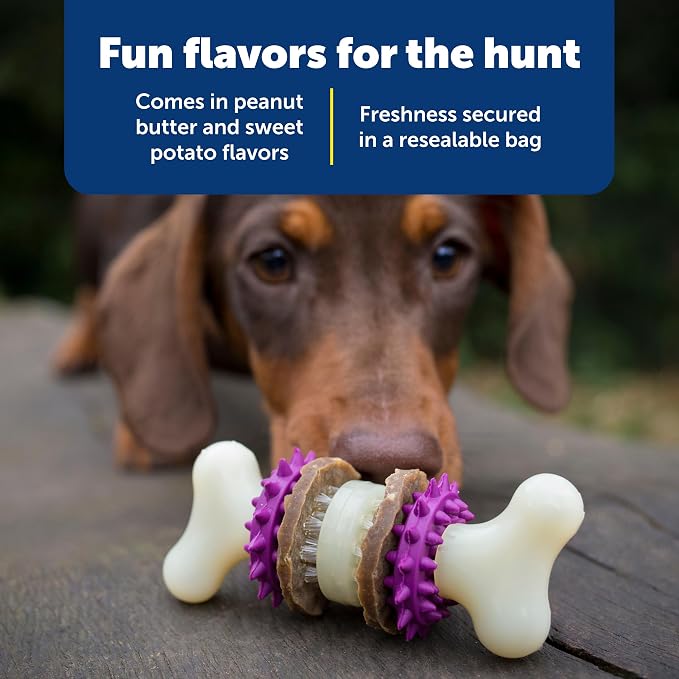 PetSafe Dog Treat Ring Variety Pack for Busy Buddy Toys 2 Tasty Flavors 60 Refills Small