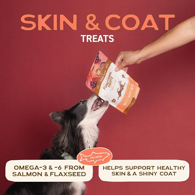 Smart Cookie All Natural Dog Treats - Healthy Skin & Coat Salmon Dog Treats - Ideal for Sensitive Stomachs or Itchy, Allergic, Dry Skin - Dehydrated, Crunchy, Human-Grade, Made in USA - 8oz, Pack of 3