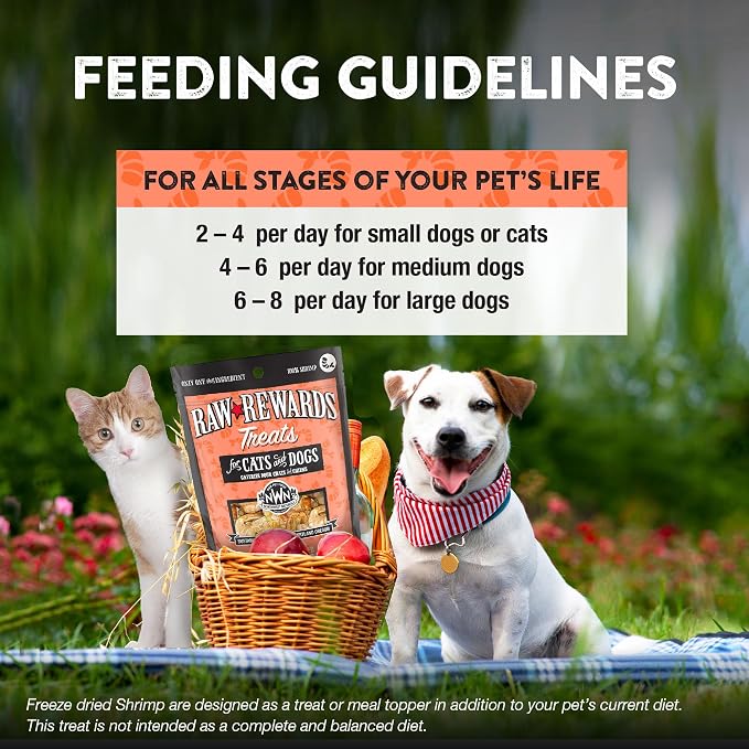Northwest Naturals Raw Rewards Freeze-Dried Shrimp Treats for Dogs and Cats - Bite-Sized Pieces - Healthy, 1 Ingredient, Human Grade Pet Food, All Natural, Proudly Made in USA, 1 Oz