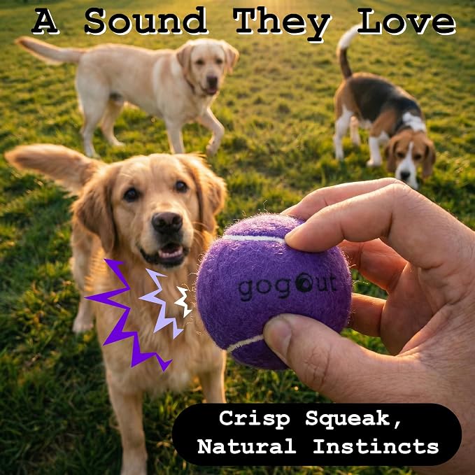 Squeaky Fetch Balls for Dogs, Rainbow Set Dog Toy, Multicolor Tennis Balls for Dogs, 12 Count Gift-Ready Dog Ball Box, 2 Inch Small