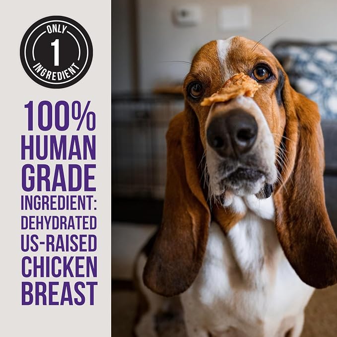 Natural Rapport Chicken Jerky Dog Treats - Single Ingredient Chicken Breast, 80% Protein, Training Treats for Small & Large Dogs (4 oz) (15+ Treats)