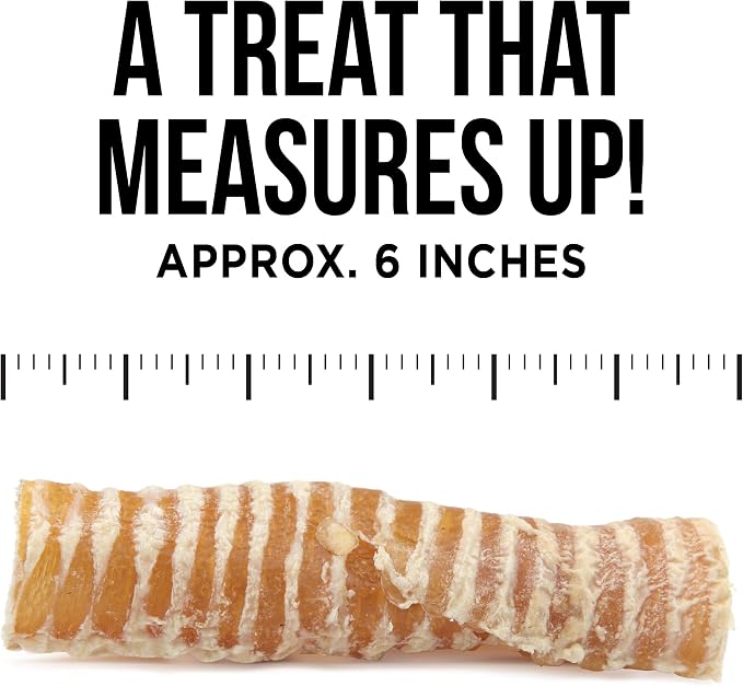 Natural Rapport Beef Trachea Dog Chews - Single Ingredient, High Protein, Natural Glucosamine for Joint Health (3 Count)