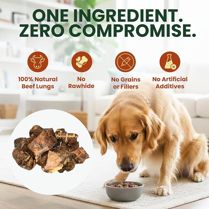 1 Lb Beef Lung Training Treats for Dogs – Single Ingredient Crunchy Bites, High Protein Low Fat Natural Dog Treats, Perfect Reward Snacks for All Dogs