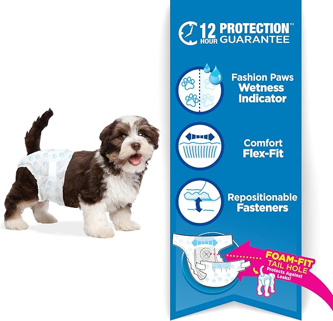 Four Paws Wee-Wee Super Absorbent Disposable Adjustable Dog Potty Training Diapers, Leak-Proof Protection for Dogs, Size Extra Small, Up to 8" Waist, 12 Count