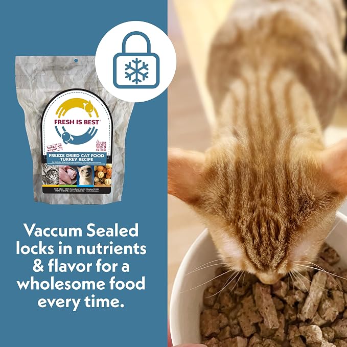 Fresh Is Best Turkey Freeze Dried Cat Food – Raw Healthy Freeze Dried Cat Treats in Resealable Zipper Bag – High-Protein Complete Meal for All Breeds and Sizes – Made in the USA