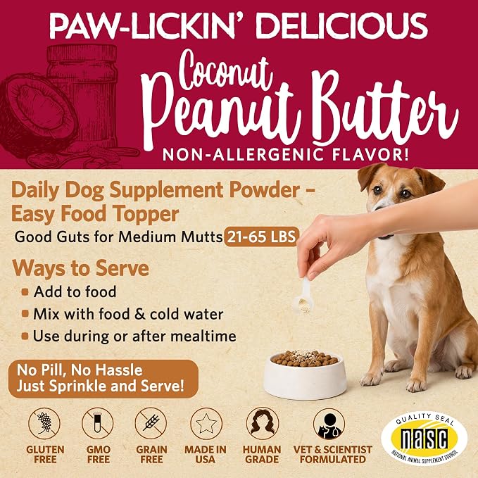 Fidobiotics Good Guts Probiotics for Dogs – Dog Probiotic Powder for Digestive Health, Gas Relief & Firmer Stools, 6B CFUs, Enzymes & Prebiotics, Medium Dogs, Puppies & Adults