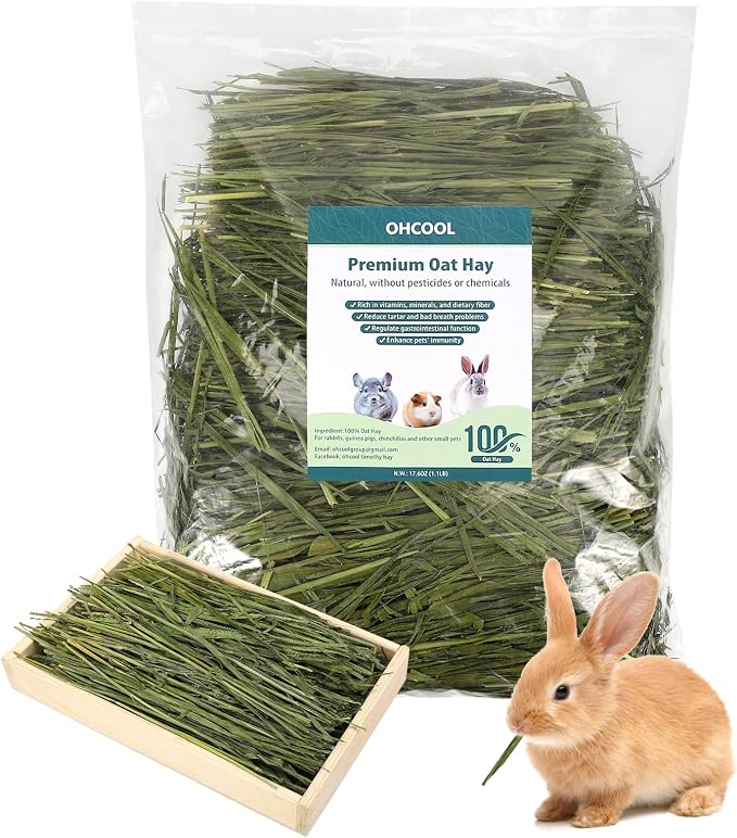 Premium Oat Hay for Pets - Dust Free Natural Green Fresh Pet Food Hay for Rabbits, Guinea Pigs, Chinchillas, Hamsters & Gerbils - 6.6 lbs