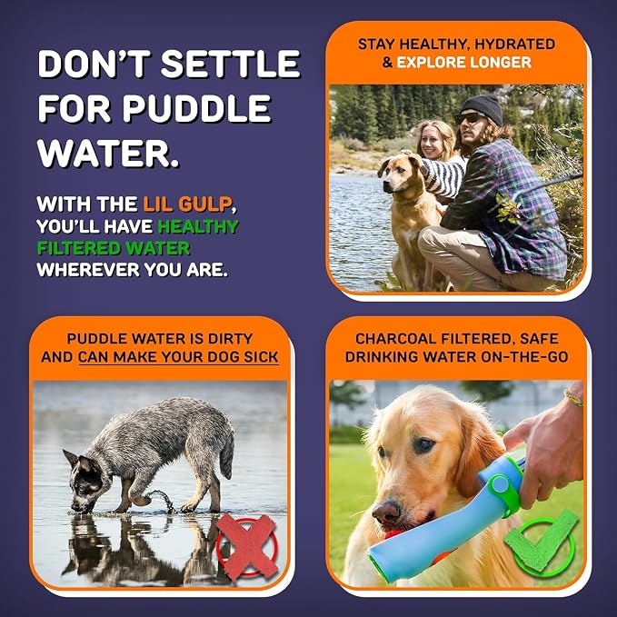 Lil Gulp Water Bottle | Advanced Carbon Filtration for Safe Filtered Water on The Go | BPA-Free Leak-Proof Portable Dog Travel Water Bottle with Retractable Water Spout, 15 Fl oz - Sherbet Soaker