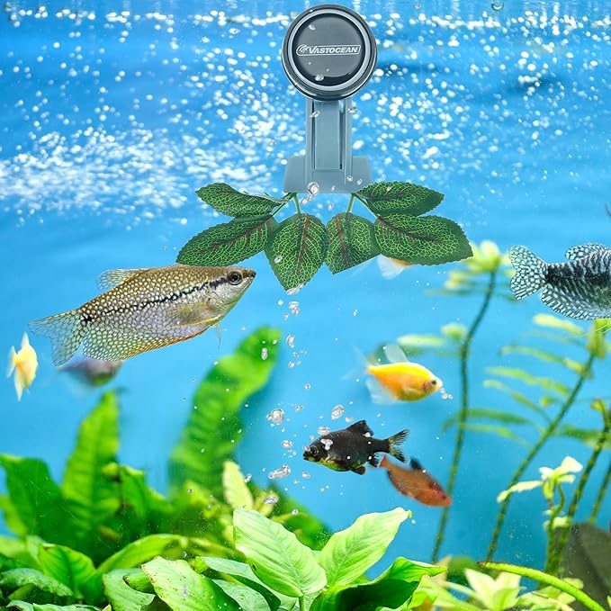 Blulu 1 Pcs Magnetic Seaweed Feeding Clips Saltwater Aquarium Tank Accessories Algae Magnet Seaweed Feeder for Fish and Aquatic Pets, Automatic Fish Feeder