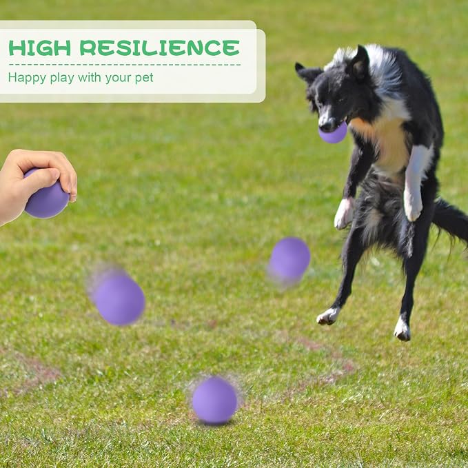 Shappy 24 Pieces Rubber Dog Tennis Balls for Dog Colorful Catching Pet Balls for Fetch Training 2.4 Inch Interactive Bounce and Floatable Toy for Park Beach