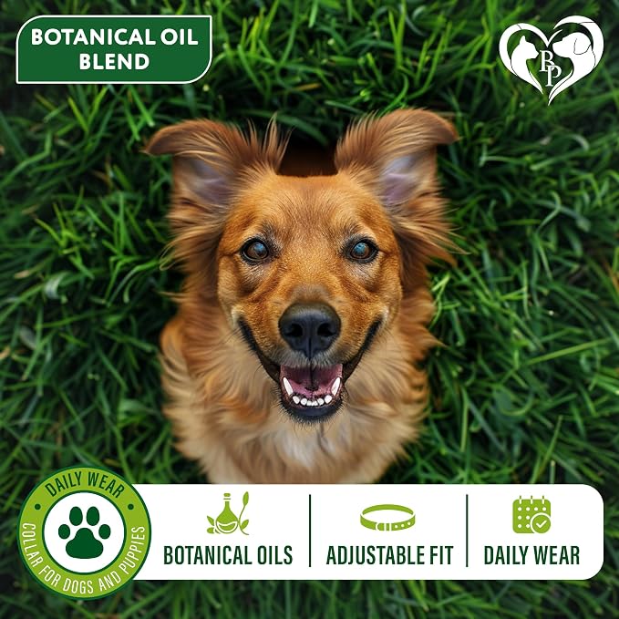 Beloved Pets Plant-Based Dog Collar, 6 Month Wear, 2 Count, Adjustable Collar for Dogs with Botanical Oils, Everyday Skin & Coat Comfort (1 Pack, 2 Count)