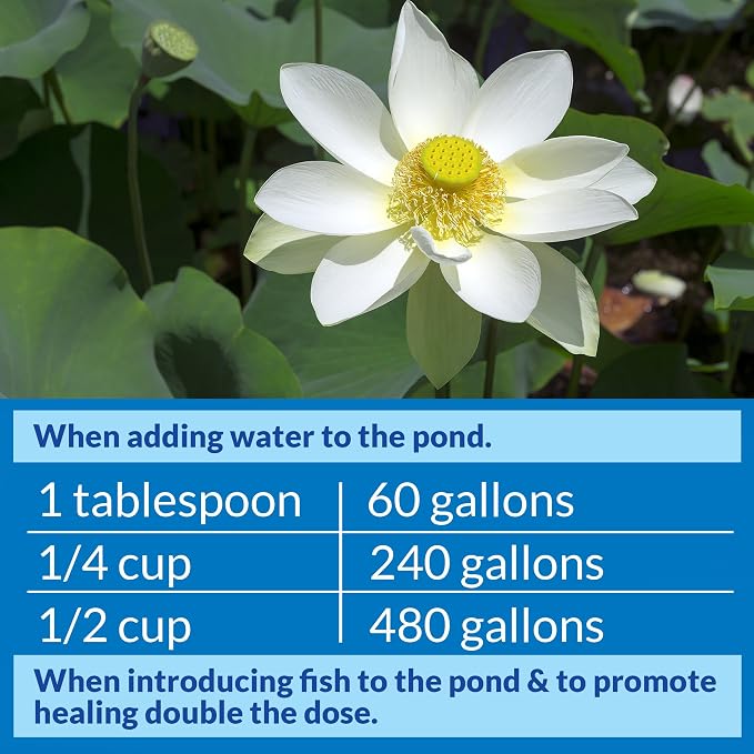 API POND STRESS COAT (1 Gallon) Pond Water Conditioner - Quickly Makes Tap Water Safe for Fish & Plants - Up to 15360 Gallons - Removes Chlorine, Ammonia & More - Natural Aloe Vera