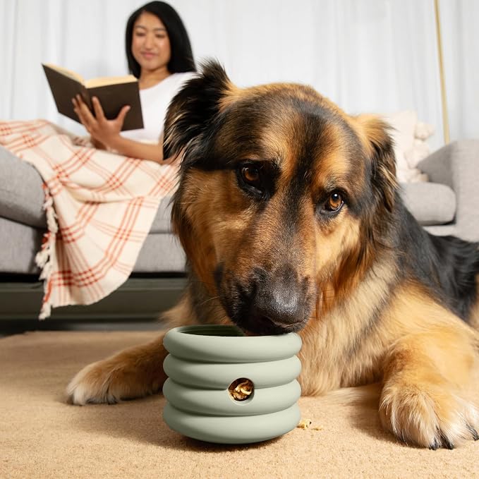 Should We Go? Interactive Dog Enrichment Toy with Freezer Plug, BPA-Free Silicone Puzzle Dog Freeze Bowl & Treat Dispenser for Mental Stimulation, Ideal for Kibble & Frozen Licks, Fits 17 oz, Large