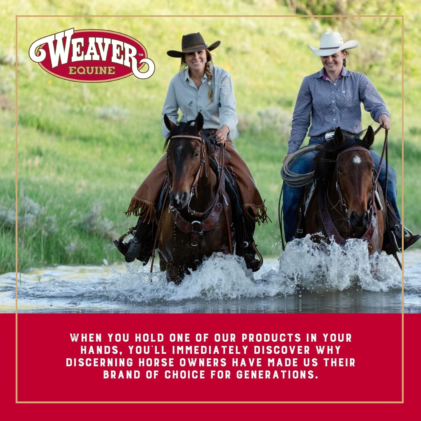 Weaver Equine Breakaway Horse Halter, Comfort Foam Padding, Adjustable Chin & Throat Snap Halters for Horses, Equine Tack,Average Size, Blue