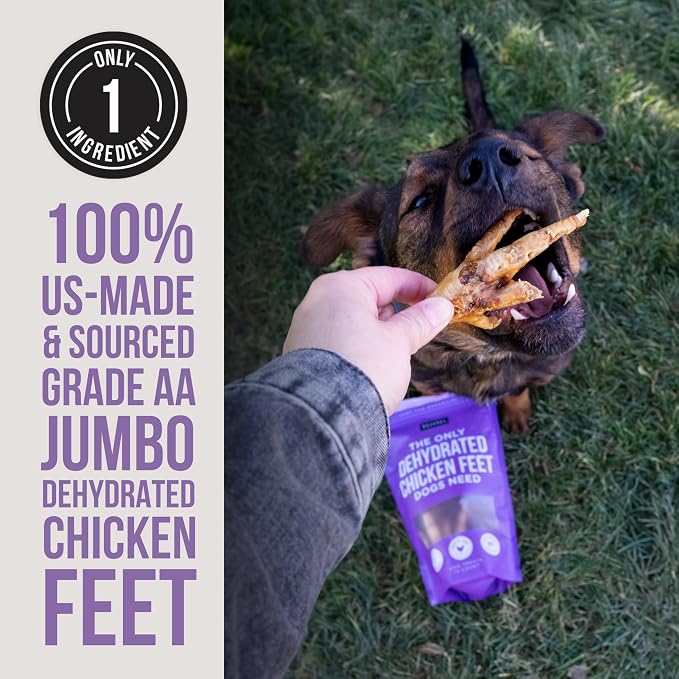Natural Rapport Dehydrated Chicken Feet Dog Chews - Jumbo Size, Natural Glucosamine & Collagen for Joint & Dental Health (12 Count)