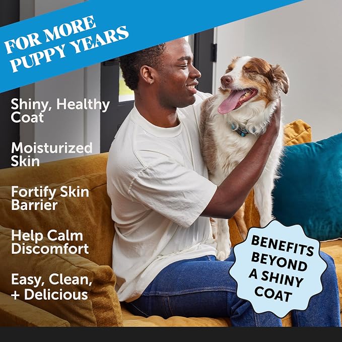 Pet Honesty Dog Skin and Coat Supplement with Salmon Oil for Dogs - Allergy Itch Relief + Skin & Coat Health, Dog Food Topper Bone Broth with Salmon Oil, Collagen, Biotin + Vitamin E (12 oz)