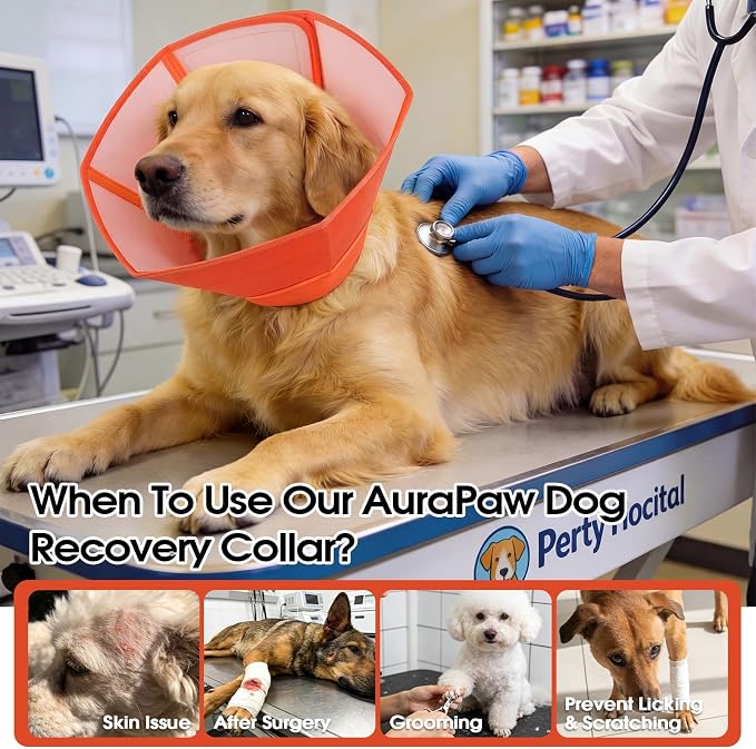 Soft Dog Cones for Small Dogs, Comfortable Post Surgery Protection Recovery Shield, Anti-Licking Pet Neck Guard for Surgery, Spay, Injury, Skin Treatment, Elizabethan Collar, Orange, Size S
