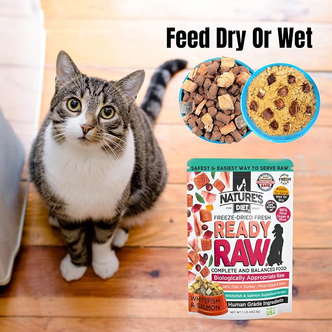 Nature's Diet Ready Raw : Freeze-Dried Raw Cat Food, Salmon & Whitefish, Human Grade, High Pressure Pasteurized (HPP), 96% Meat, Organ, Bone, Safe & Natural, Dry or Wet Feeding