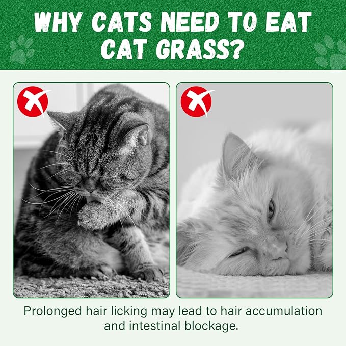 Cat Grass Teething Stick, 100g / 3.52oz Natural Cat Grass Treats for Indoor Cats, Cat Chew Stick for Hairball Cleaning, Appetite Boosting & Dental Health, Edible Cat Toys