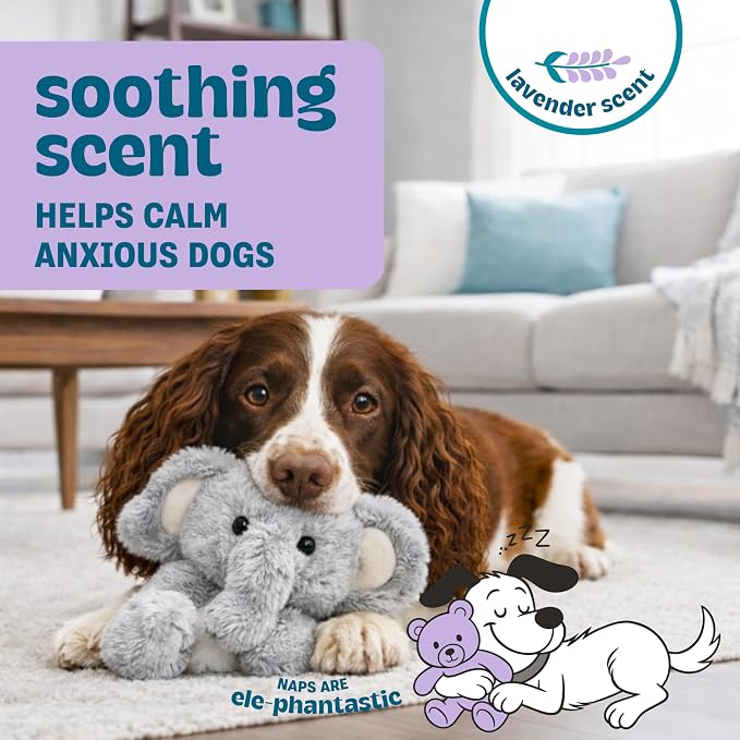 Calming Plush Dog Toy with Squeaker, Ultra-Soft Floppy Cuddle Companion, Lavender Scented, Elephant, Large, 11.8”