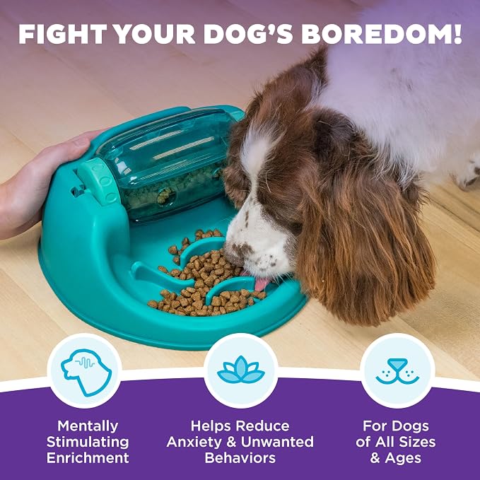 Outward Hound by Nina Ottosson Spin N' Eat Dog Puzzle and Slow Feeder, Level 2 Intermediate Enrichment Toy, Green