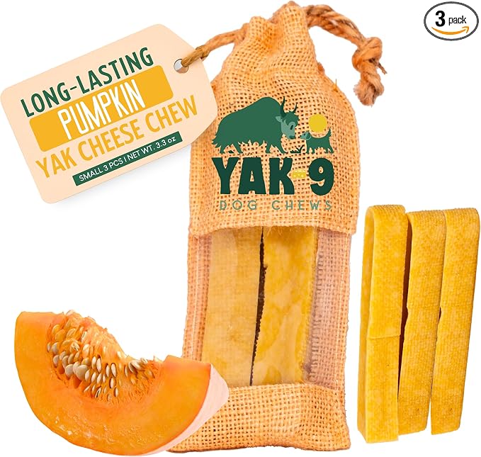 Yak9 Yak Cheese Himalayan Dog Chews, Pumpkin | High Protein, High Fiber Pumpkin Treats for Dogs | Long Lasting, Non GMO, Gluten Free, Grain Free | Small Size,3 PC