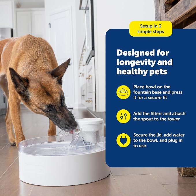 PetSafe Outlast Pumpless Dog Water Fountain 128 oz Indoor Water Dispenser for Dogs and Multiple Cats - Dishwasher Safe, Easy Assembly and Cleaning, Water Filter Included