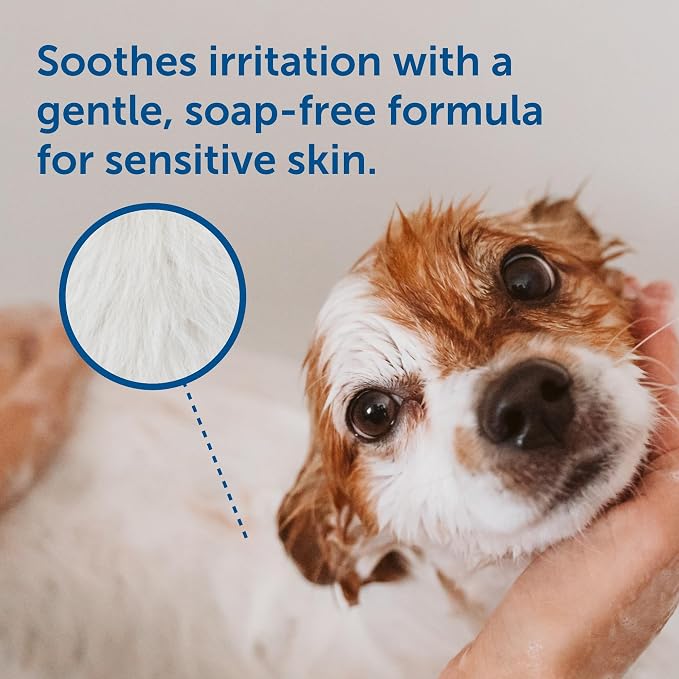 SolaceVet Soothing Anti-Itch Medical Shampoo 16 oz – Veterinarian Recommended Soap-Free Formula for Dogs & Cats with Pramoxine & Hydrolyzed Oats