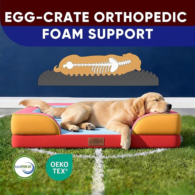 Comfort Expression Orthopedic Dog Bed for Extra Large Dogs 42x30 Inch, Waterproof Egg Crate Foam XL Pet Bed with Bolsters, Dog Couch with Washable Cover & Non-Slip Bottom, Miami