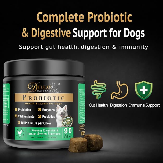 Probiotic Soft Chews for Dogs – 90 Count – Digestive & Immune Support with 9 Probiotics, 8 Enzymes, 2 Prebiotics & 5 Vital Nutrients – Chicken Flavor