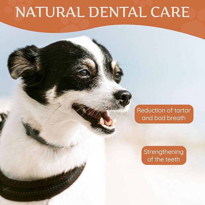 Wildfang® Yak Chews, Small for Dogs 22-33 lbs – Dog Dental Chew Stick, Hardness Like Himalayan Yak Cheese, Churpi-Style Cheese Sticks, Dog Treats & Puppy Training Treats, Approx 2 oz, Pack of 1