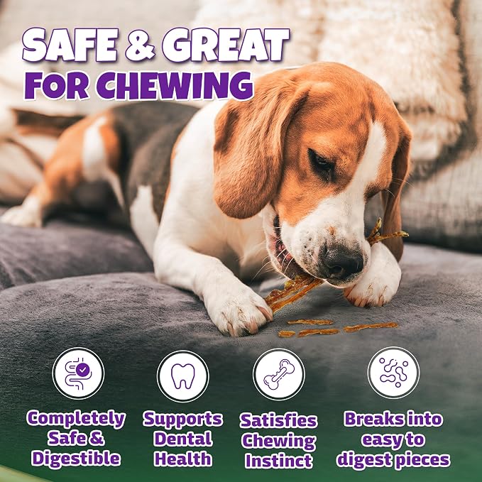 Turkey Tendon Strips Made in USA with 100% Turkey and No Glycerin, Healthy Jerky Dog Treats for Medium and Small Dogs, Human Grade Tendons for Dogs, 12 oz Bag
