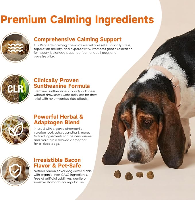 Dog Calming Chews - Calming Treats for Dogs for Separation Anxiety| Anxiety Relief for All Breeds, Puppies & Adult Dogs, Bacon Flavor, 120 Count