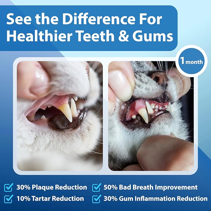Cat Dental Powder, Bad Breath Tartar Control, Help Gingivitis and Stomatitis | Plaque Off with Natural Extracts & Probiotics