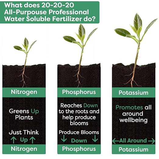 Gardenwise 20-20-20 Water-Soluble Fertilizer – Powder for Liquid Plant Food for Indoor & Outdoor Plants, Orchids, Vegetables, Lawns, Flowers – 20 20 20 Fertilizer (10 QUARTS)