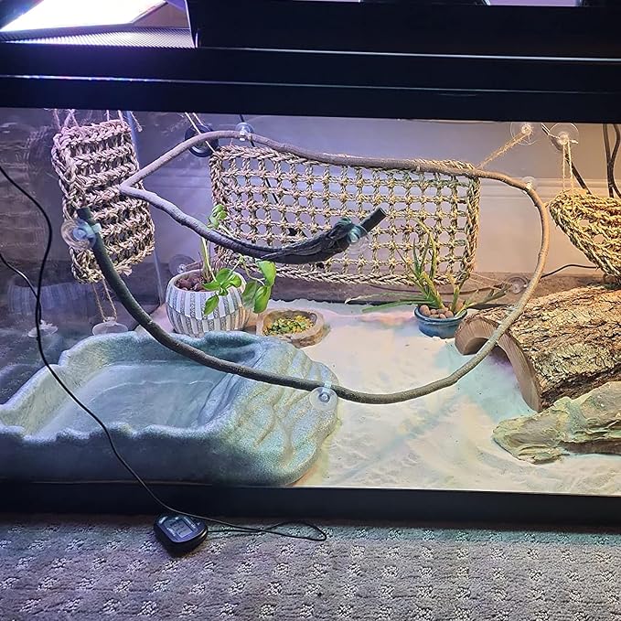 Bearded Dragon Hammock Reptile Lounger for Chameleon, Lizards, Geckos, Snakes, Lguana Reptiles, Tortoises Reptile & Amphibian Habitat Décor