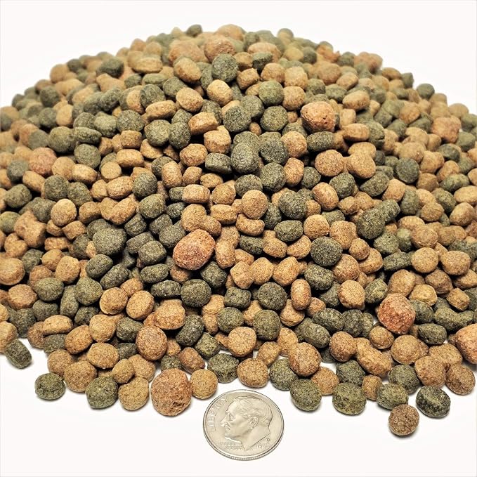 4-Type Mix 6mm - 1/4" Silkworm Color Glossing, Wheat Germ, Intense Color Enhancing, Intense GRO Floating Pellets for Koi & Pond Fish KGM-250-20-lbs