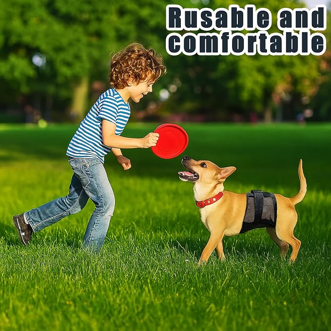 3-Pack Dog Diapers Male–Reusable & Washable Belly Bands for Dogs, Breathable Air-Mesh Fabric,for Doggie & Puppy in Incontinence or Excitable Urination and Training (Black, XL, Count, 3)