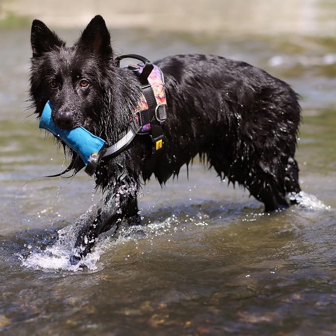 Dingo Cotton tug Toy with Handle, for Catch Retrieving and tug of war, Dog bite Pillow Floating on the Water, Four Colours, L Z30002