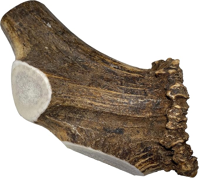Elkhorn Premium Chews - Giant Split Single Pack (for 75+ lb Dogs) Premium Grade Elk Antler for Dogs (1 Piece) Sourced in the USA