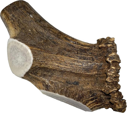 Elkhorn Premium Chews - Giant Split Single Pack (for 75+ lb Dogs) Premium Grade Elk Antler for Dogs (1 Piece) Sourced in the USA