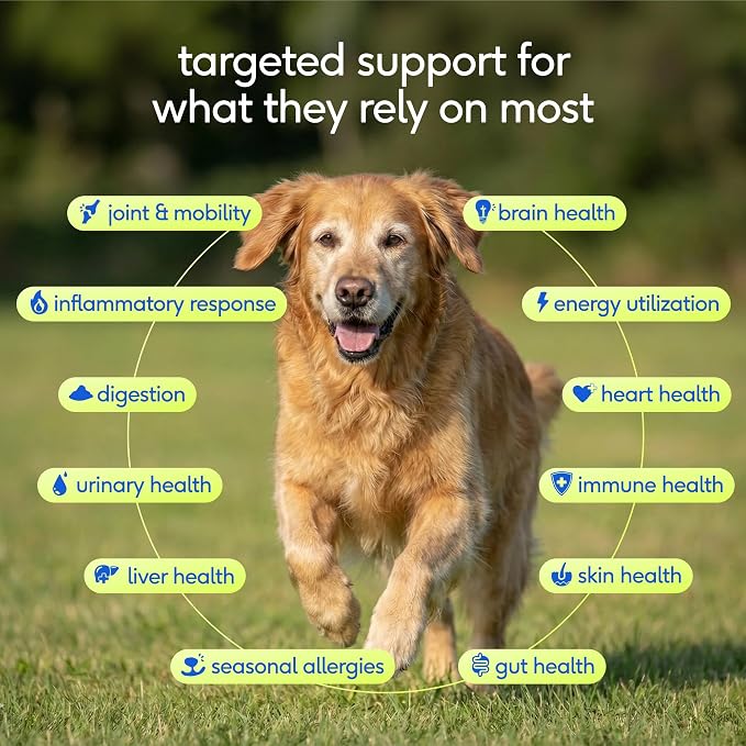 Native Pet Senior Daily Dog Vitamins & Supplements – 12-in-1 Dog Multivitamin Powder for Senior Dogs – Supports Mobility, Cognition, Digestion, Immune Health & More – 120 Scoops