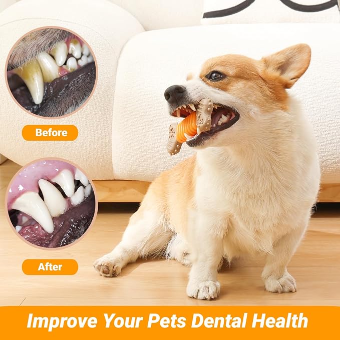 Puppy Chew Toys 6 Pack, Indestructible Dog Toy for Small Dogs, Dog Bones for Aggressive Chewers Puppy Teething Toys to Keep Them Busy, 30lbs and Under