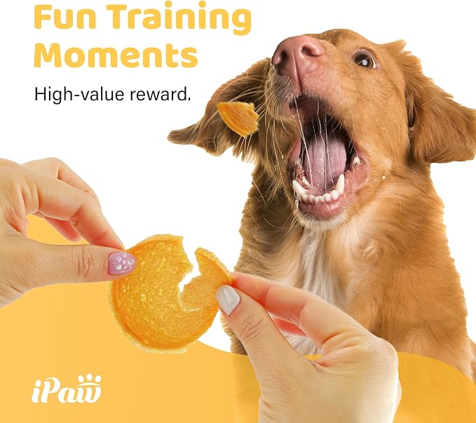iPaw Chicken Chips Dog Treats for Puppy Training, SQF Certified Human Grade Dog Treat, Hypoallergenic, Easy to Digest (Chicken Chips)