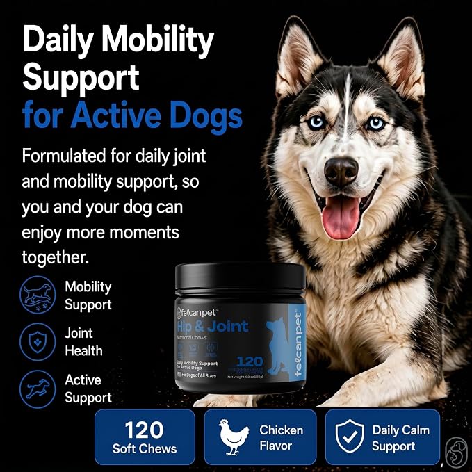 Hip & Joint Chews for Dogs – Glucosamine, Chondroitin, MSM & Green Lipped Mussel – Supports Mobility & Joint Health for Dogs – Natural Dog Joint Supplement – Chicken Flavor, 120 Soft Chews