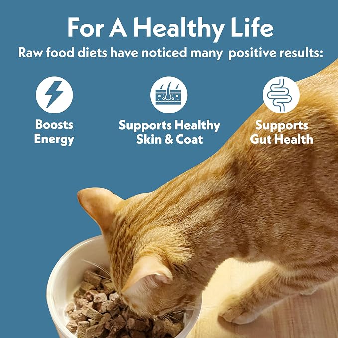 Fresh Is Best Pork Freeze Dried Cat Food – Raw Cat Food for Kittens & Adult Felines – High-Protein Freeze Dried Pork in Resealable Zipper Bag – Made in the USA – 8 oz