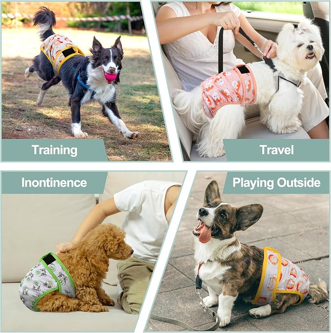 Female Dog Diapers - Premium Reusable Diapers for Doggie in Heat - Highly Absorbent for Pet Incontinence with Adjustable Snaps Rabbit, S