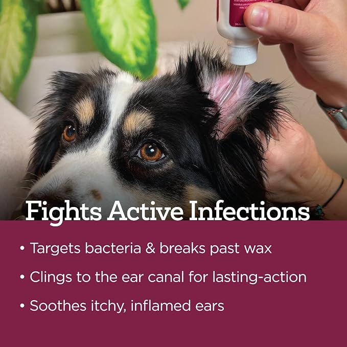 Vetality Medicated Otic Drops for Dog Ear Infection Treatment, 2 fl oz